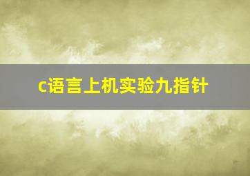 c语言上机实验九指针