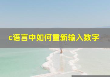 c语言中如何重新输入数字