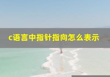 c语言中指针指向怎么表示