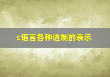 c语言各种进制的表示