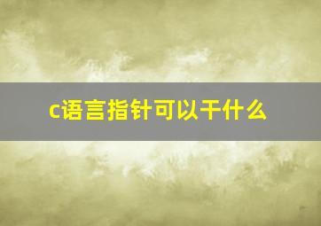 c语言指针可以干什么