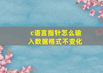 c语言指针怎么输入数据格式不变化