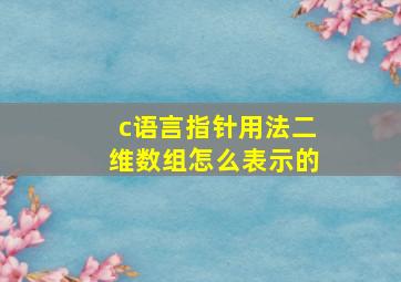 c语言指针用法二维数组怎么表示的