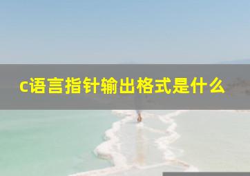 c语言指针输出格式是什么