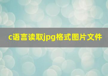 c语言读取jpg格式图片文件