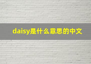 daisy是什么意思的中文