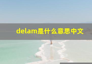 delam是什么意思中文