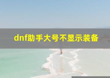 dnf助手大号不显示装备