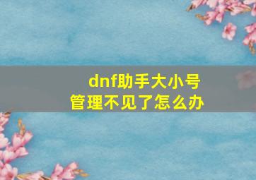 dnf助手大小号管理不见了怎么办