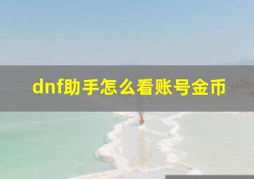 dnf助手怎么看账号金币