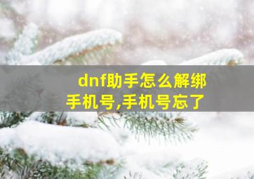 dnf助手怎么解绑手机号,手机号忘了