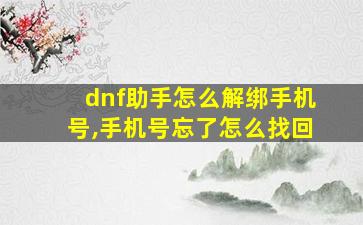 dnf助手怎么解绑手机号,手机号忘了怎么找回