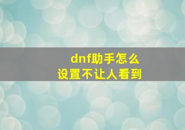 dnf助手怎么设置不让人看到