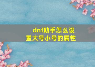 dnf助手怎么设置大号小号的属性