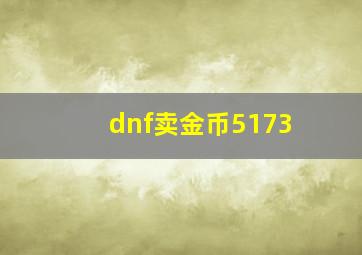 dnf卖金币5173