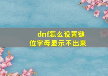 dnf怎么设置键位字母显示不出来