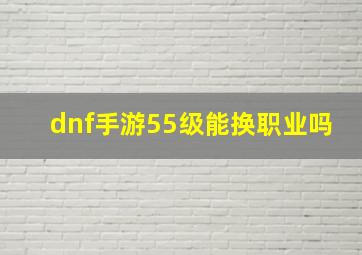 dnf手游55级能换职业吗