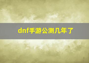 dnf手游公测几年了