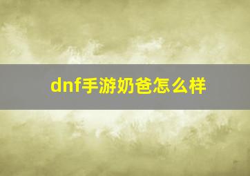 dnf手游奶爸怎么样