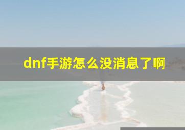 dnf手游怎么没消息了啊