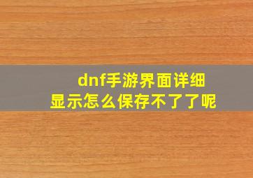 dnf手游界面详细显示怎么保存不了了呢