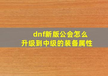 dnf新版公会怎么升级到中级的装备属性