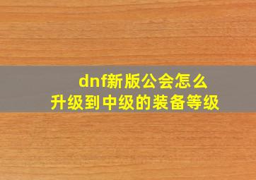 dnf新版公会怎么升级到中级的装备等级