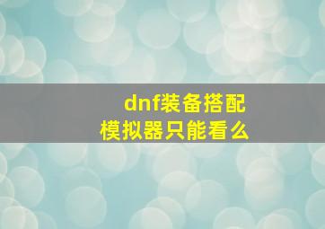 dnf装备搭配模拟器只能看么