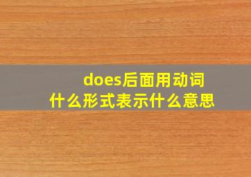 does后面用动词什么形式表示什么意思