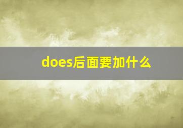 does后面要加什么