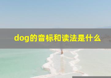 dog的音标和读法是什么