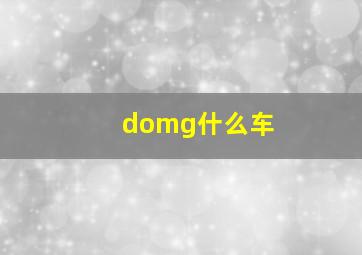 domg什么车