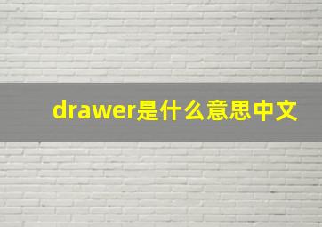 drawer是什么意思中文