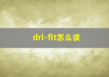 drl-flt怎么读