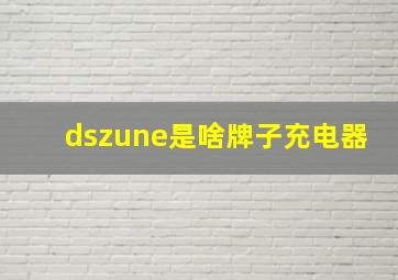 dszune是啥牌子充电器