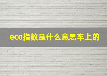 eco指数是什么意思车上的