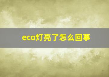 eco灯亮了怎么回事