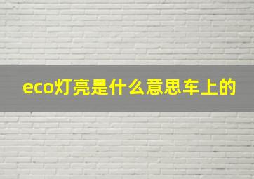 eco灯亮是什么意思车上的