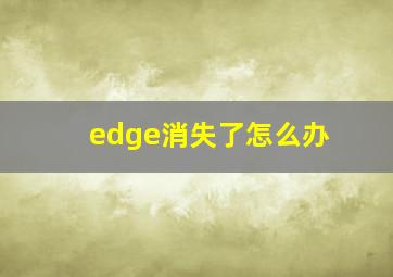 edge消失了怎么办