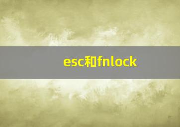 esc和fnlock