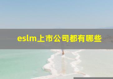 eslm上市公司都有哪些