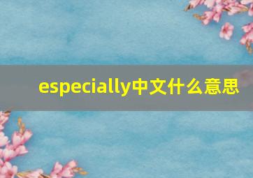 especially中文什么意思