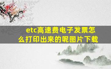 etc高速费电子发票怎么打印出来的呢图片下载