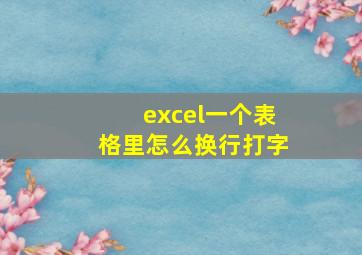 excel一个表格里怎么换行打字