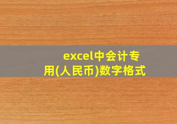 excel中会计专用(人民币)数字格式