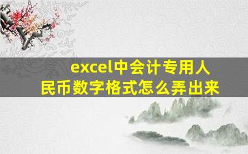 excel中会计专用人民币数字格式怎么弄出来