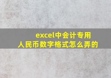 excel中会计专用人民币数字格式怎么弄的