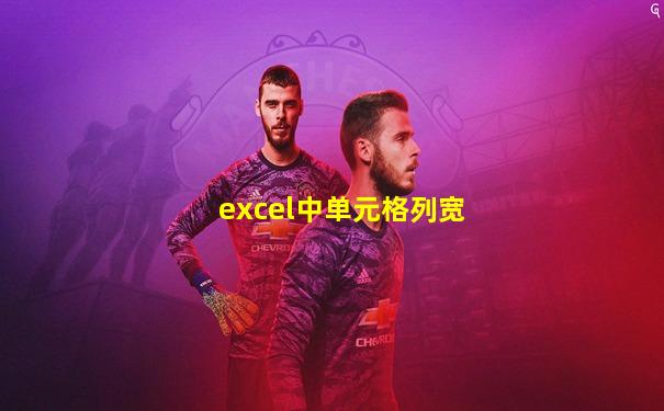 excel中单元格列宽