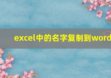 excel中的名字复制到word