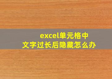 excel单元格中文字过长后隐藏怎么办